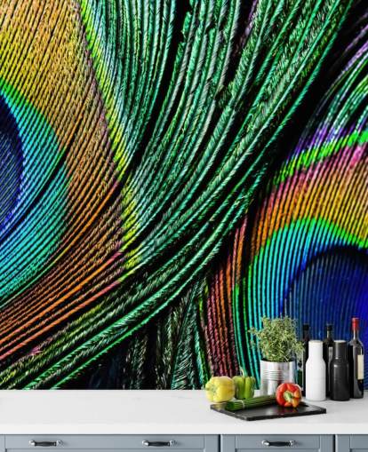Peacock Feather Close Up Wallpaper Mural 