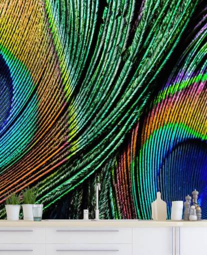 Peacock Feather Close Up Wallpaper Mural 