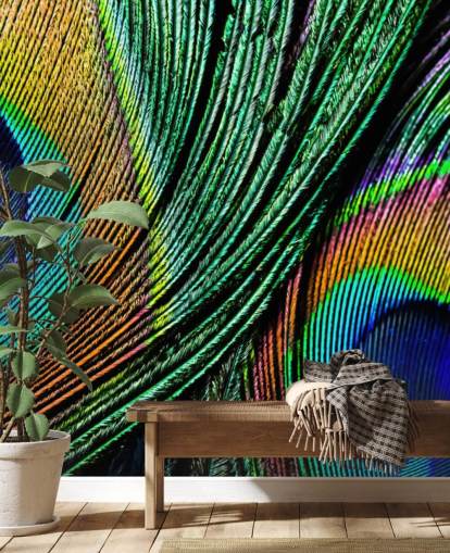 Peacock Feather Close Up Wallpaper Mural Peacock Feather Close Up Wallpaper Mural