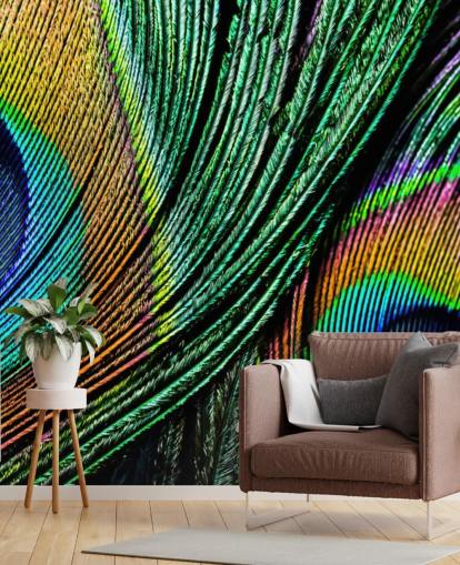 Peacock Feather Close Up Wallpaper Mural 