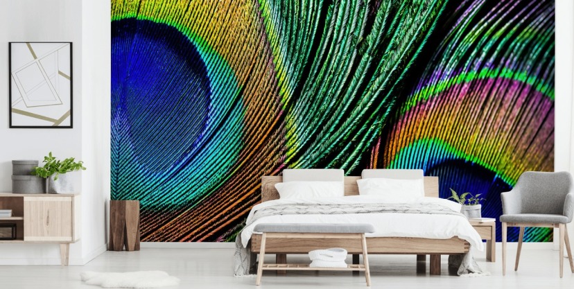 Peacock Wallpaper and Wall Murals | Wallsauce UK