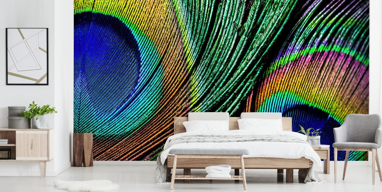 Riikinkukko sulka lähikuva taustakuva seinämaalaus 