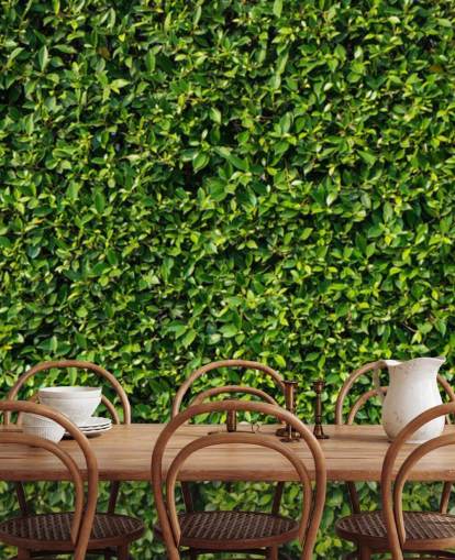 Leafy Green Wall Taustakuva Leafy Green Wall Taustakuva