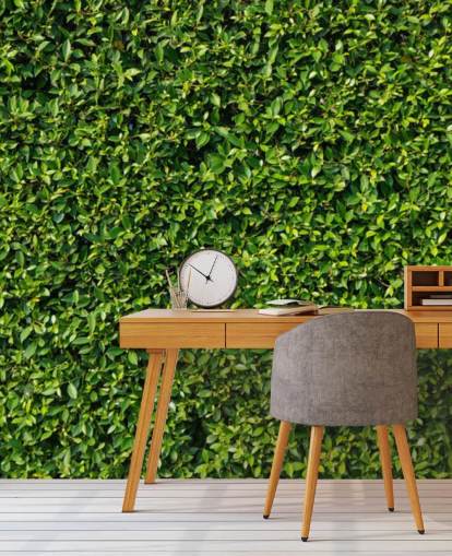 Leafy Green Wall Wallpaper