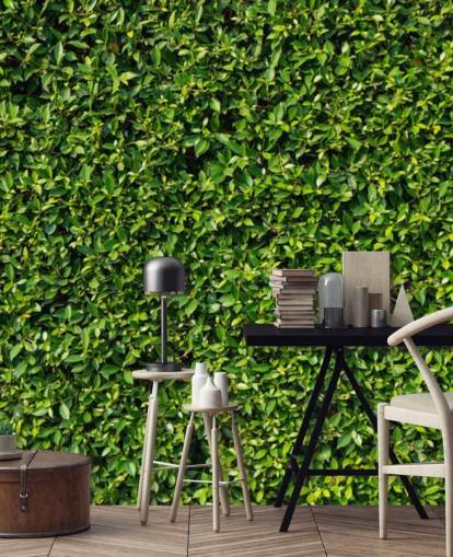 Leafy Green Wall Wallpaper