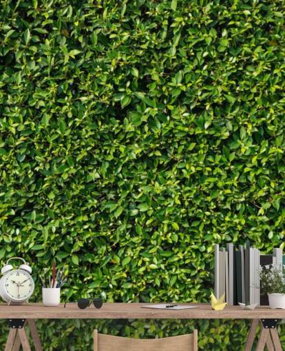 Papel pintado de pared verde frondoso Papel pintado de pared verde frondoso