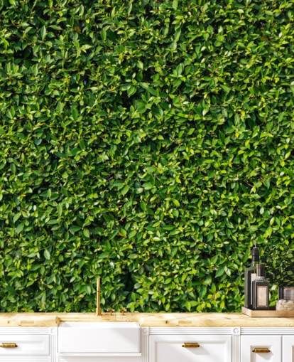 Papier Peint Vert Leafy