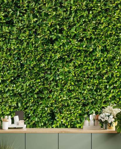Leafy Green Wall Wallpaper