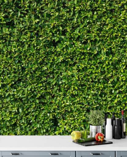 Papel pintado de pared verde frondoso