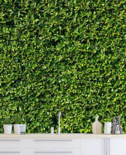 Leafy Green Wall Wallpaper