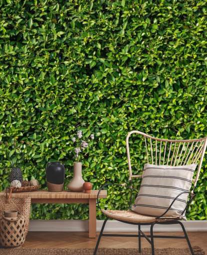 Leafy Green Wall Wallpaper