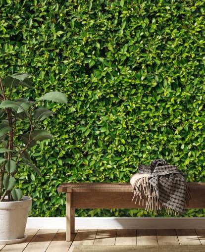 Papel pintado de pared verde frondoso Papel pintado de pared verde frondoso