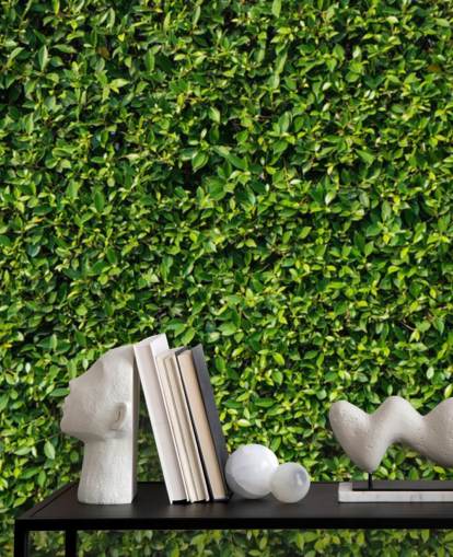 Papier Peint Vert Leafy