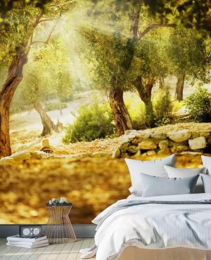 Decorazione murale con albero di ulivo Decorazione murale con albero di ulivo