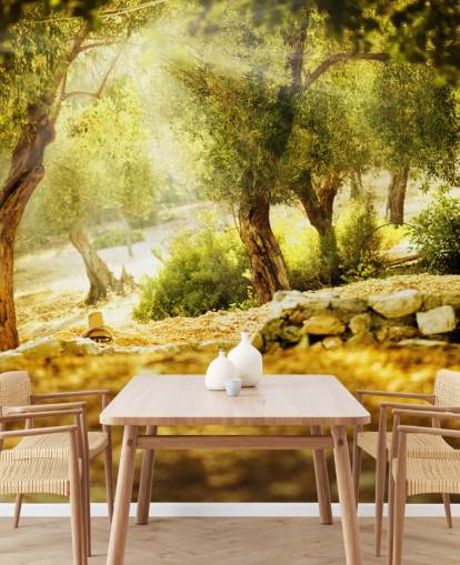 Olive Tree Wall Mural
