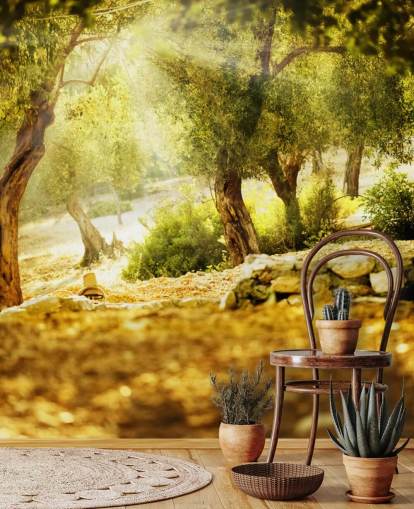 Olive Tree Wall Mural