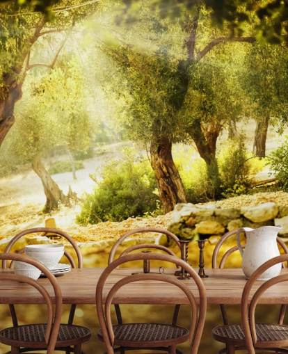 Olive Tree Wall Mural