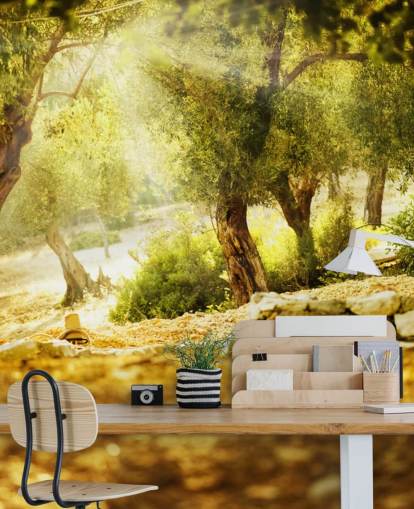 Olive Tree Wall Mural