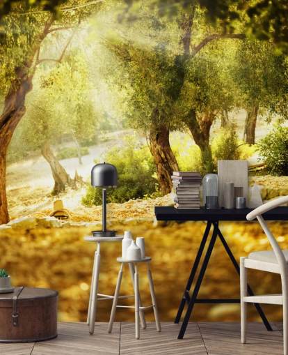 Olive Tree Wall Mural Olive Tree Wall Mural