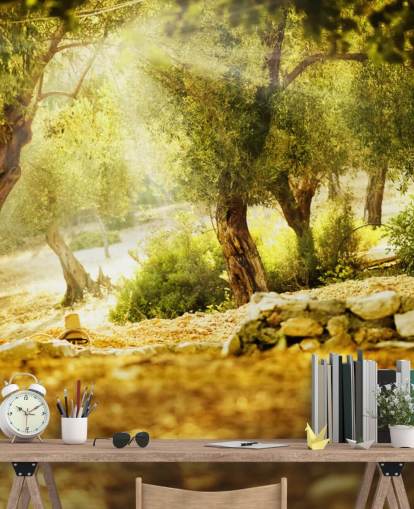 Olive Tree Wall Mural Olive Tree Wall Mural