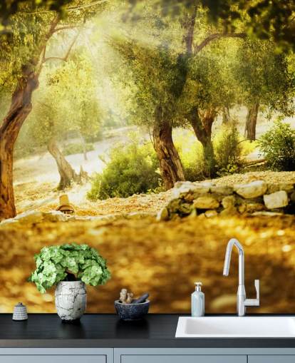 Olive Tree Wall Mural