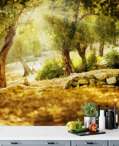 Olivenbaum Fototapete