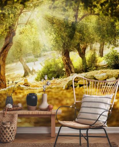 Olive Tree Wall Mural
