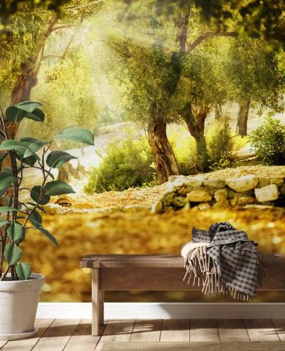 Olive Tree Veggmaleri