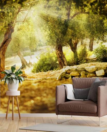 Decorazione murale con albero di ulivo Decorazione murale con albero di ulivo