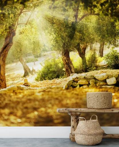 Olive Tree Wall Mural