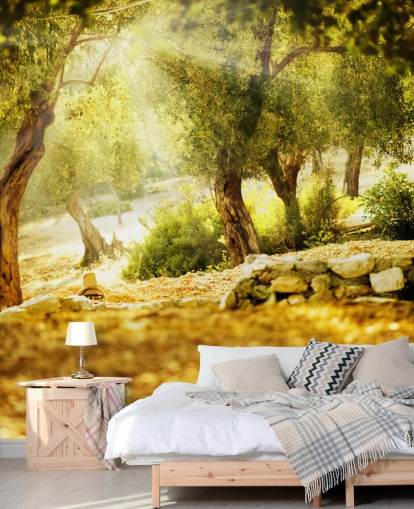 Olive Tree Muurschildering