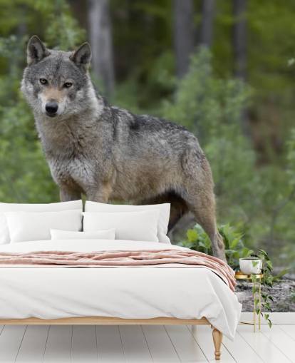 Grauer Wolf stand in einem Holz-Wandbild