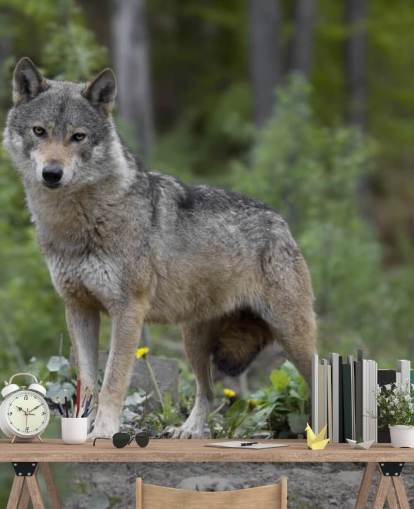 Mural de lobo gris sobre madera