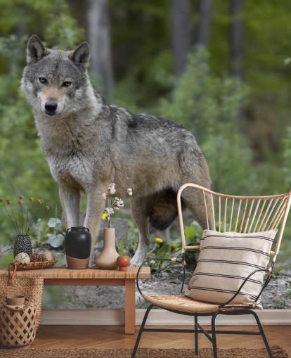 Mural de lobo gris sobre madera Mural de lobo gris sobre madera