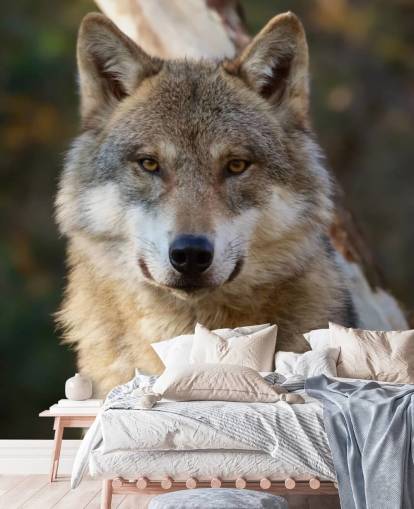 Close Up of Grey Wolf Portrait Wall Mural Close Up of Grey Wolf Portrait Wall Mural