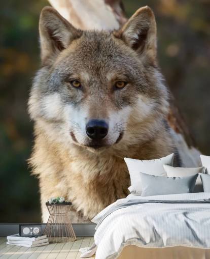 Nahaufnahme eines grauen Wolfs Portrait Wandgemälde Nahaufnahme eines grauen Wolfs Portrait Wandgemälde