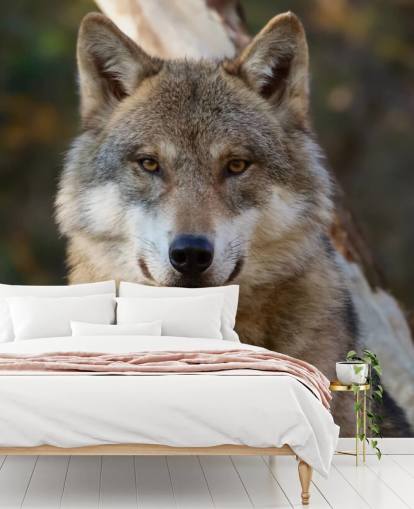 Lähikuva Grey Wolf -muotokuva seinämaalauksesta