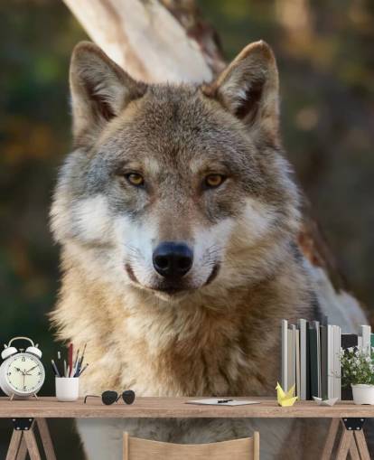 Mural de pared Retrato de lobo gris