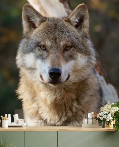 Nahaufnahme eines grauen Wolfs Portrait Wandgemälde