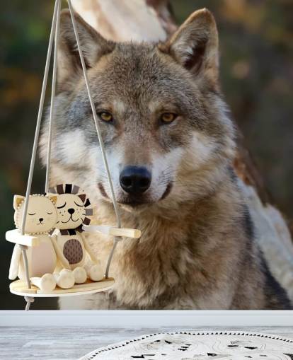 close-up van grijze wolf portret muurschildering