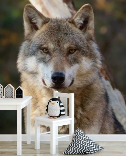 Lähikuva Grey Wolf -muotokuva seinämaalauksesta