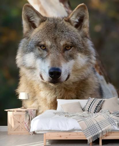 Mural de pared Retrato de lobo gris