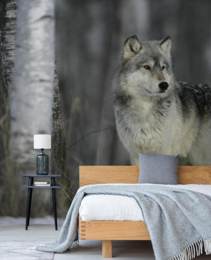 Grauer Wolf im Holz Fototapete Grauer Wolf im Holz Fototapete