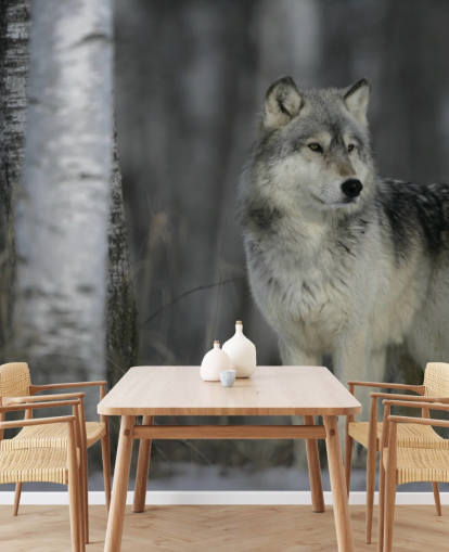 Décoration murale Loup gris dans le bois