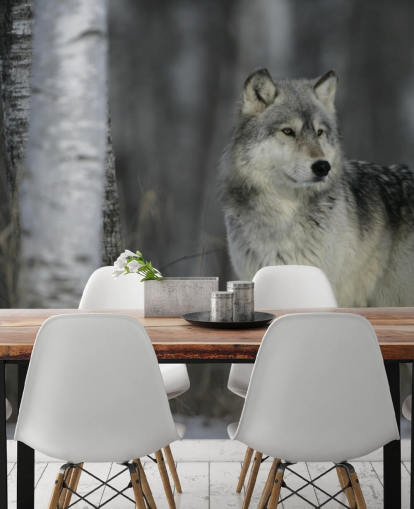 Grey Wolf in Wood Wall Mural