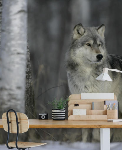 Décoration murale Loup gris dans le bois