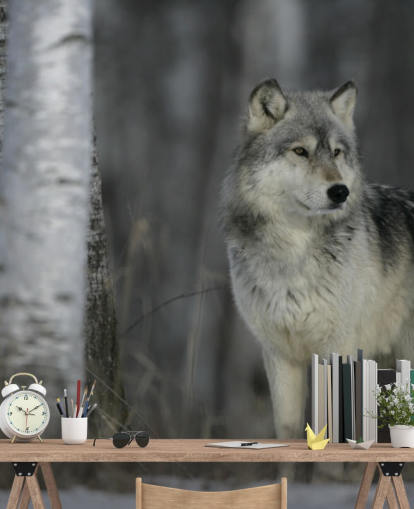 Grey Wolf in Wood Wall Mural