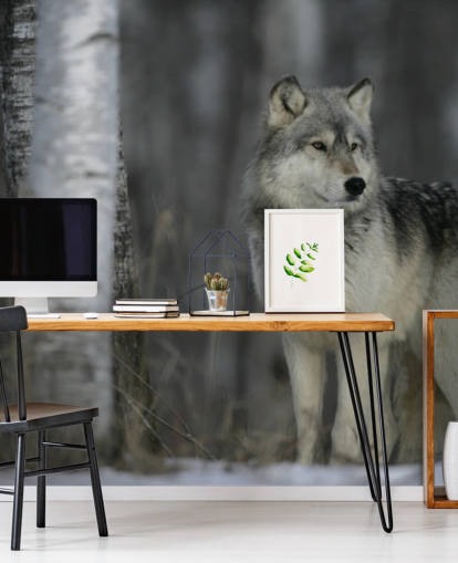 Grauer Wolf im Holz Fototapete Grauer Wolf im Holz Fototapete