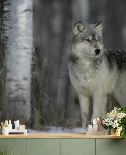 Grey Wolf in Wood Wall Mural Grey Wolf in Wood Wall Mural