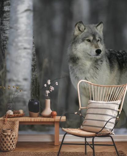 Grey Wolf in Wood Wall Mural